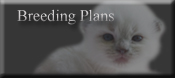 breeding plans